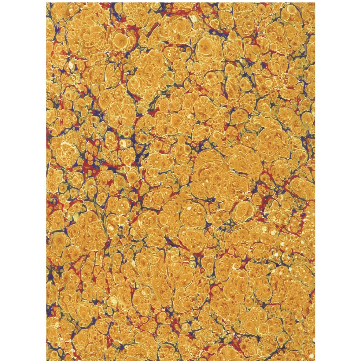 Decorative "Decorative Paper from The Bridal of Caölchairn" Poster | High - Quality Print | Repositionable Adhesive - Pasquín