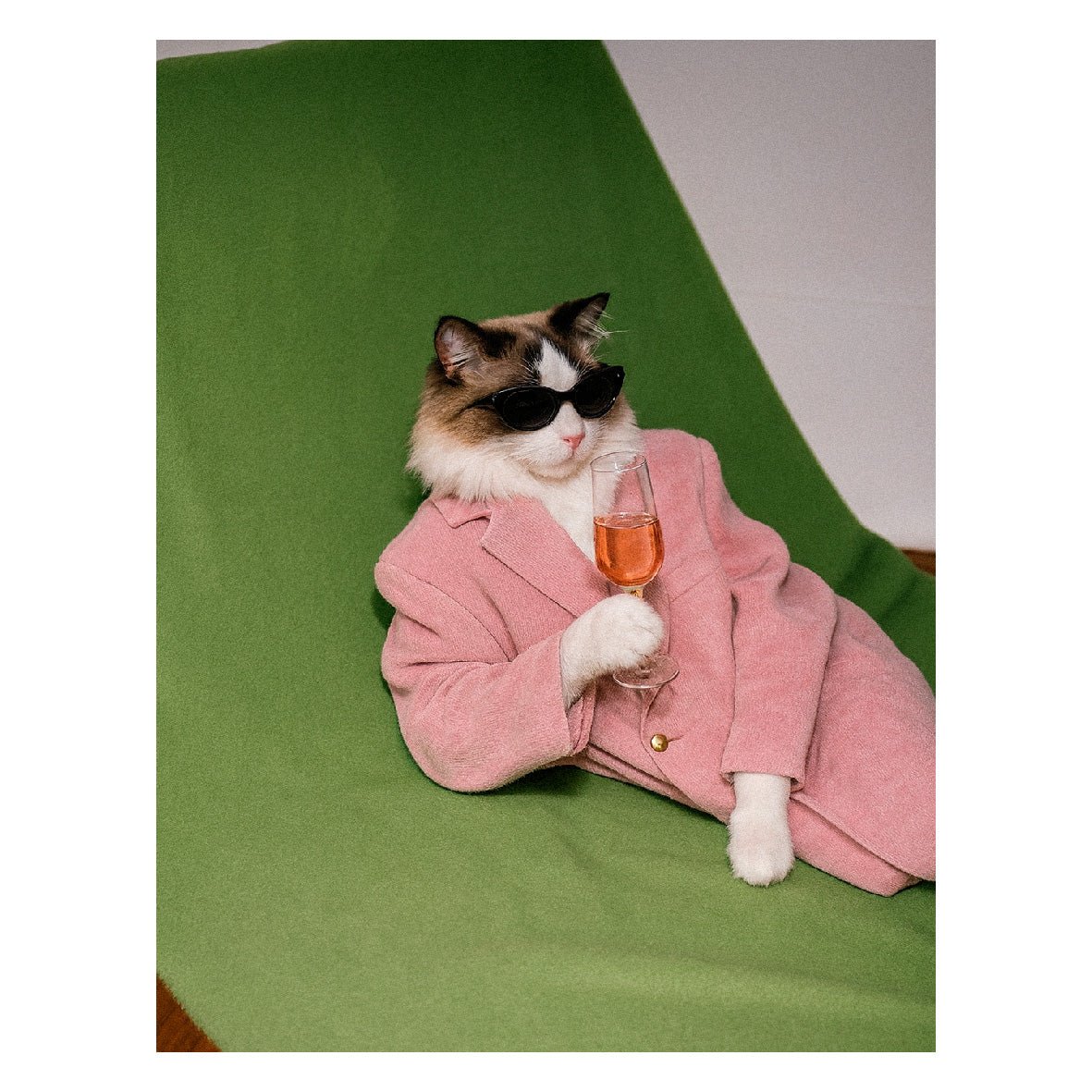 Decorative "Feline Toast" Poster | High - Quality Print | Repositionable Adhesive - Pasquín