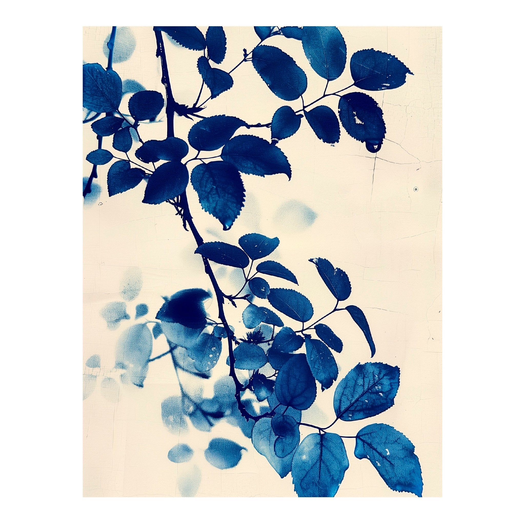 Decorative "Floral Radiograph in White" Poster | High - Quality Print | Repositionable Adhesive - Pasquín