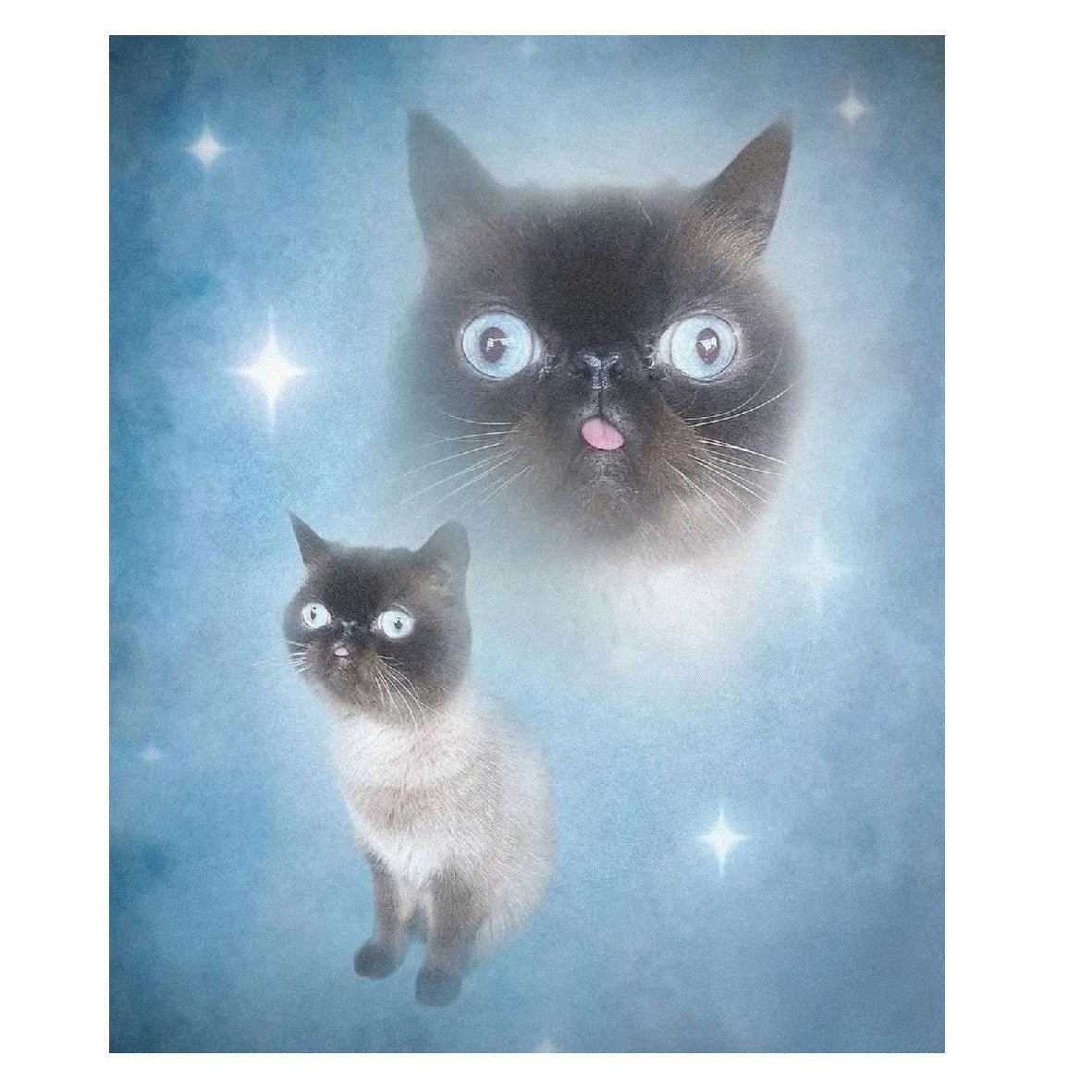 Decorative "Portrait of a Good Boy" Poster | High - Quality Print | Repositionable Adhesive - Pasquín