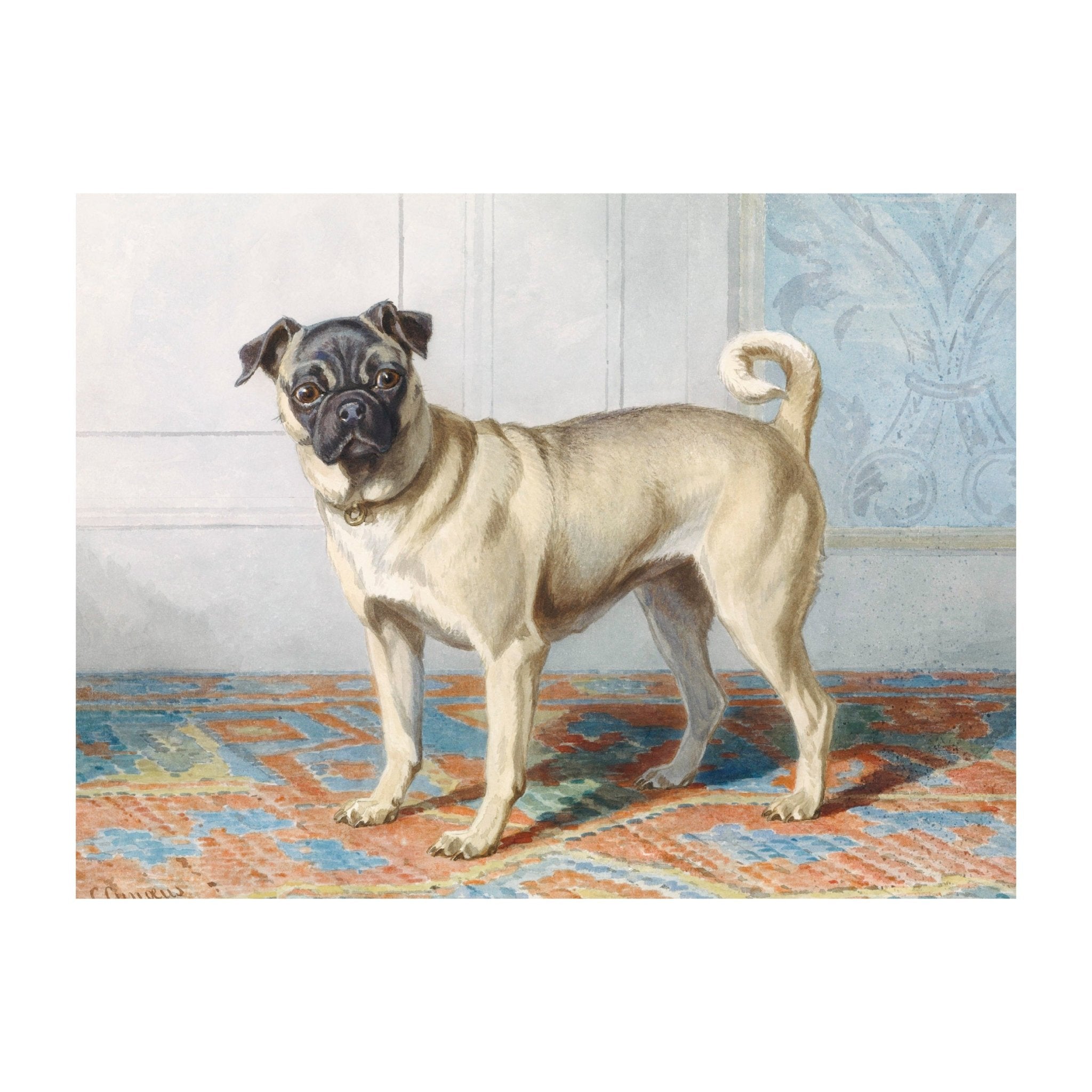 Decorative "Portrait of Edwin Vom Rath’s Pug" by Conradijn Cunaeus Poster | High - Quality Print | Repositionable Adhesive - Pasquín