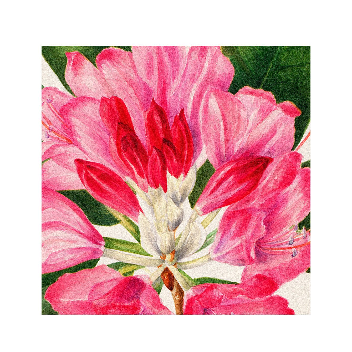 Decorative Removable Wall Tiles - The Floral Design - Pasquín