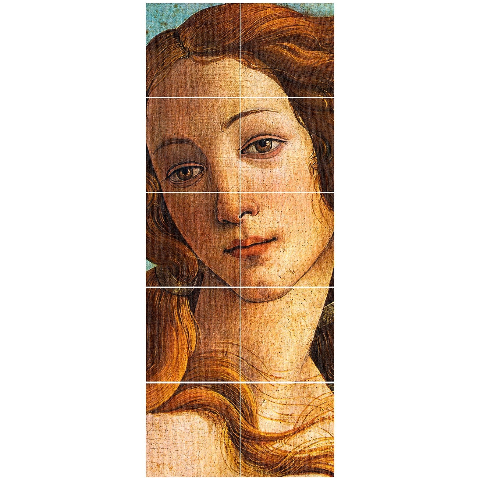 Decorative Removable Wall Tiles - Venus Design - Pasquín