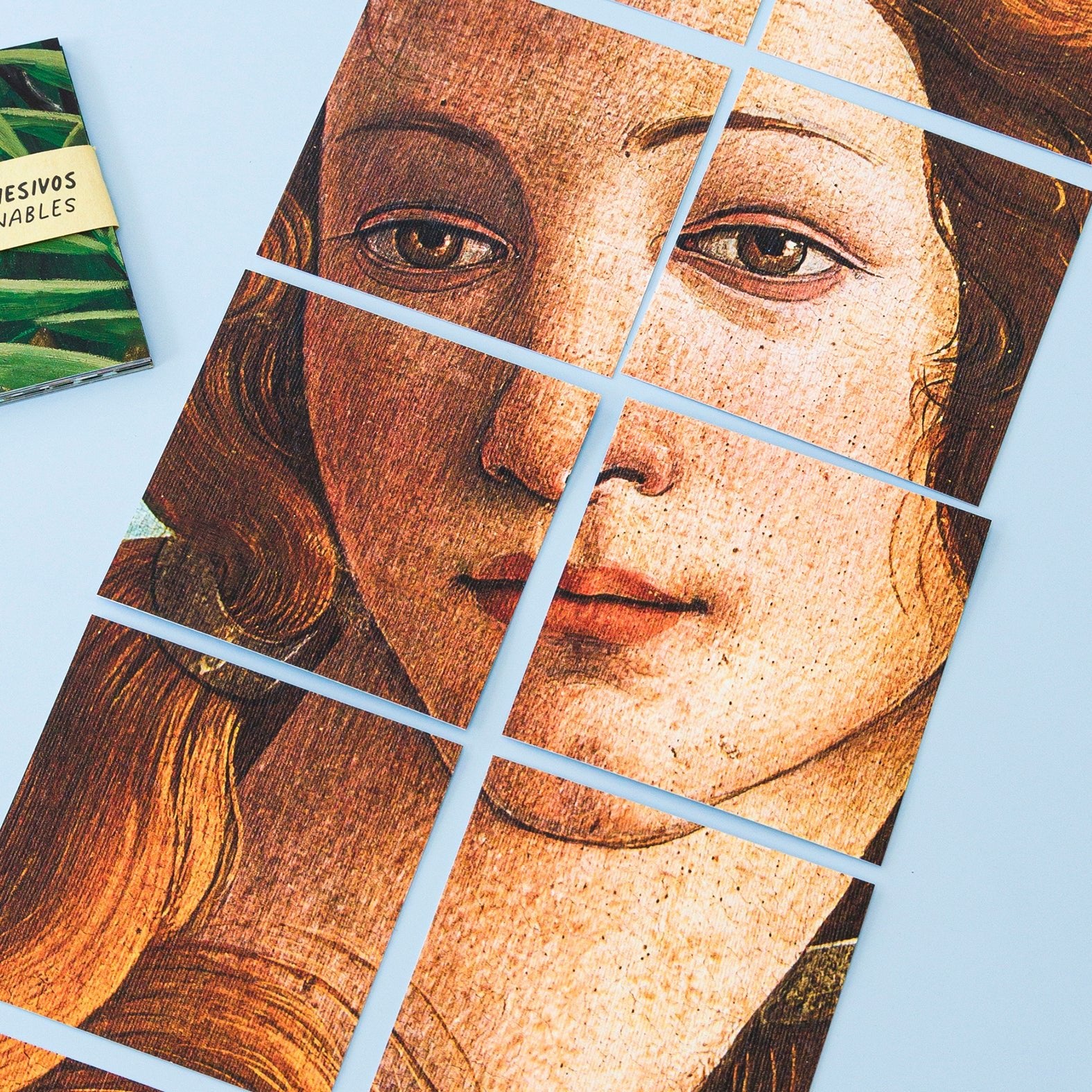 Decorative Removable Wall Tiles - Venus Design - Pasquín