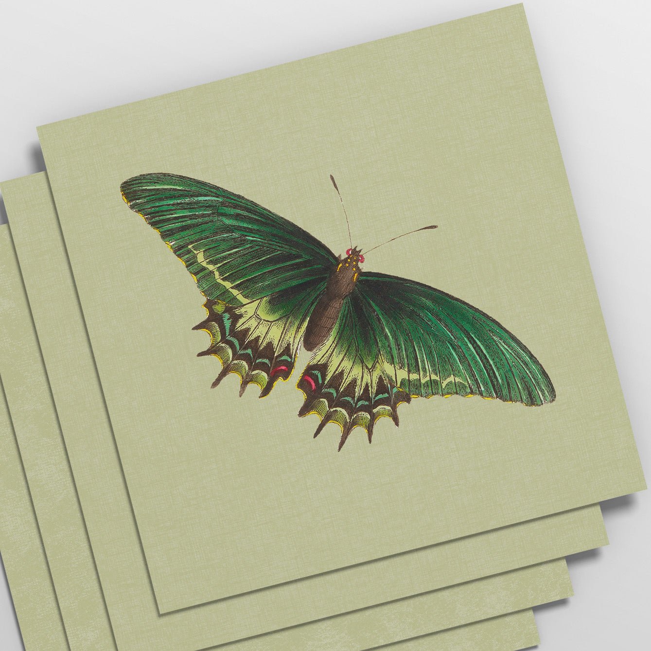 Decorative Removable Wall Tiles - Vintage Butterflies Design - Pasquín