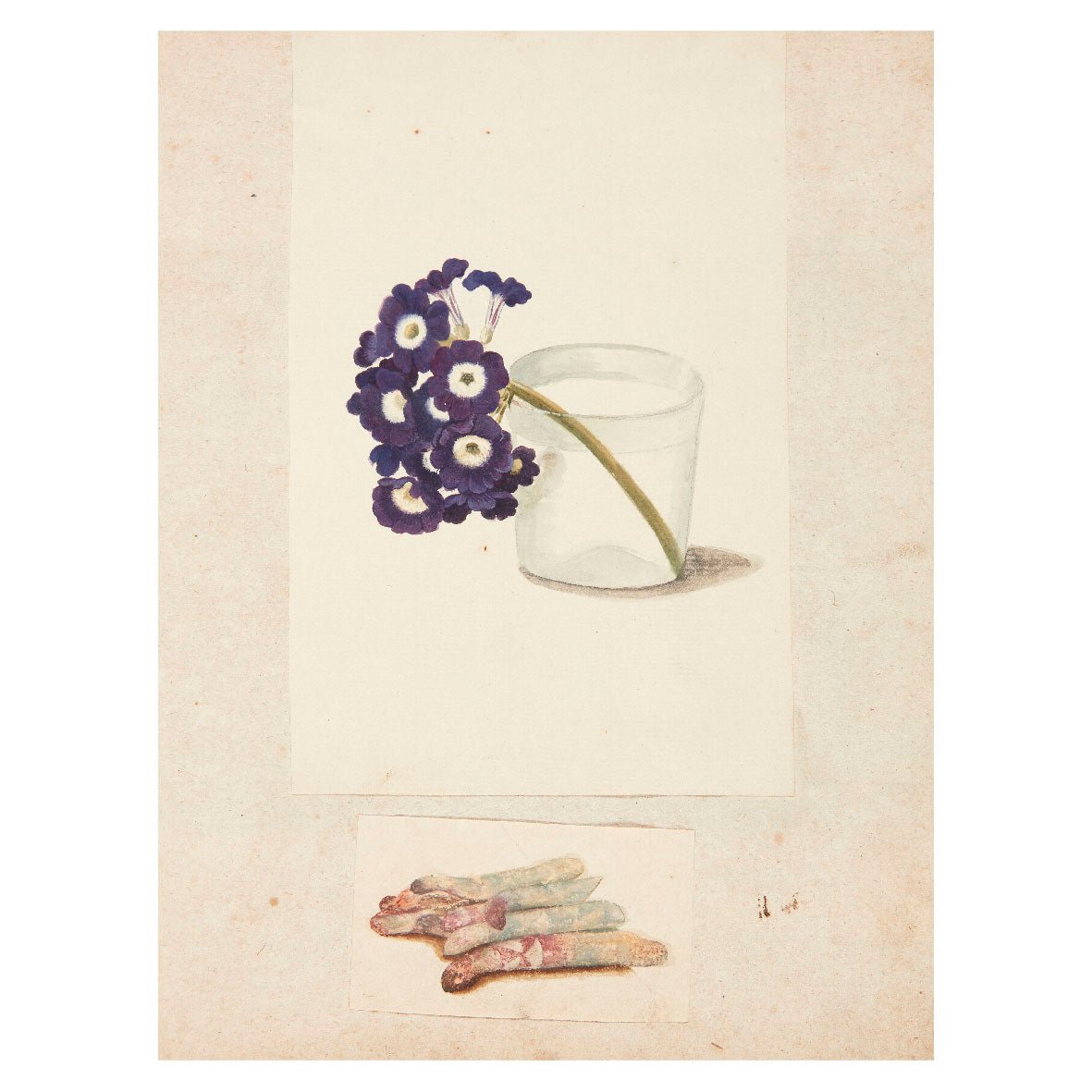 Decorative "Studie af blomst i glas (1748)" by Johanna Fosie Poster | High - Quality Print | Repositionable Adhesive - Pasquín