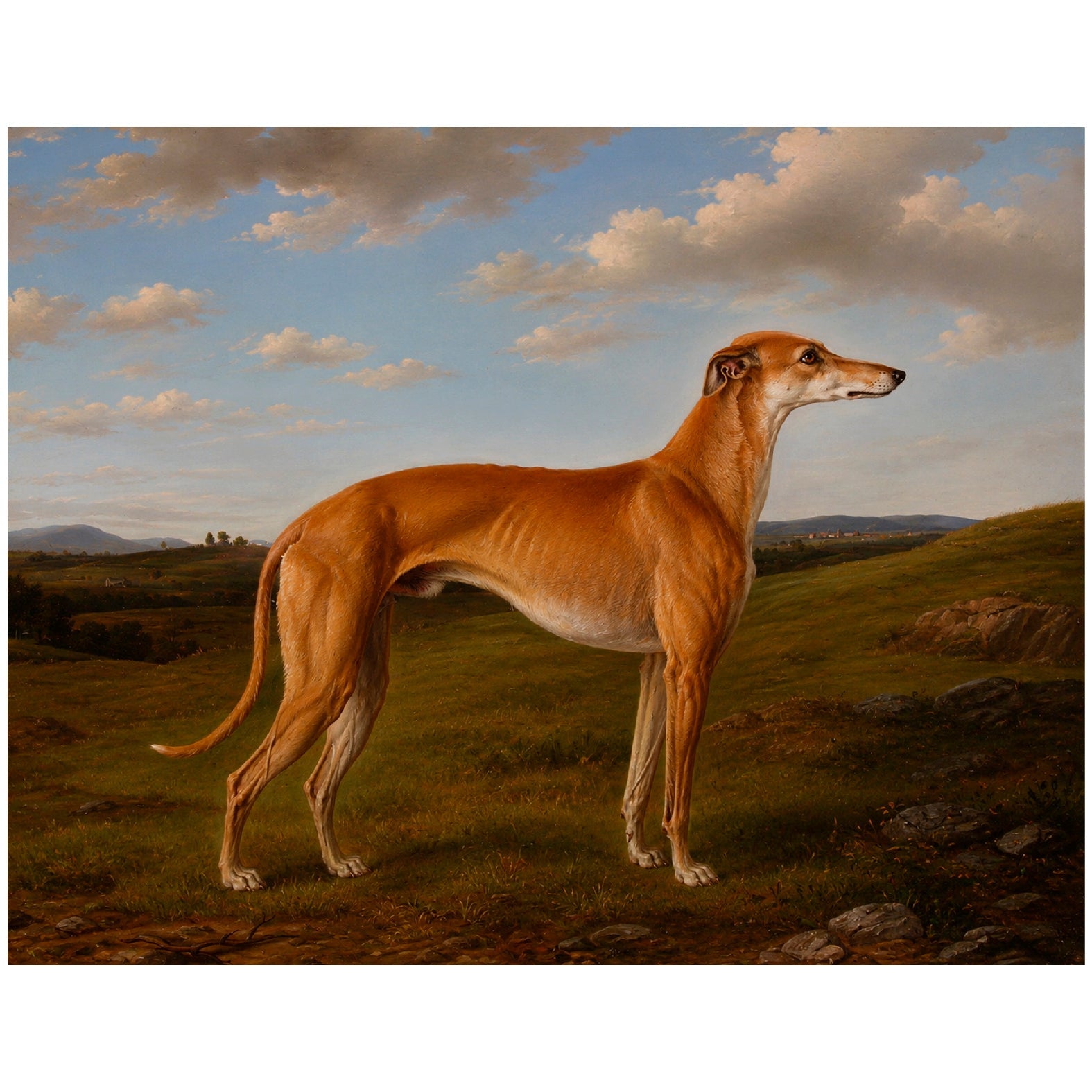 "Greyhound in a Field Under a Cloudy Sky" by Arthur Wardle - Reusable Peel-and-Stick Poster - Pasquín