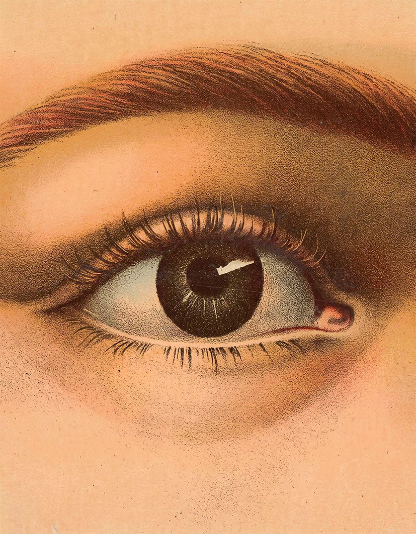 "Vintage Eye Study"- Reusable Peel-and-Stick Poster - Pasquín