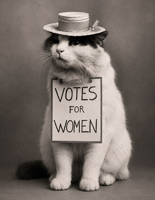 "Votes for women" - Reusable Peel-and-Stick Poster - Pasquín