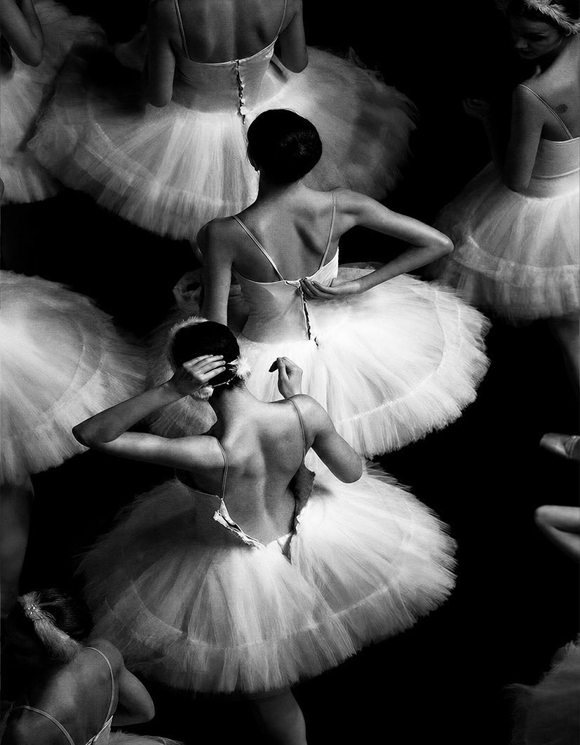 "Ballet" - Reusable Peel-and-Stick Poster - Pasquín