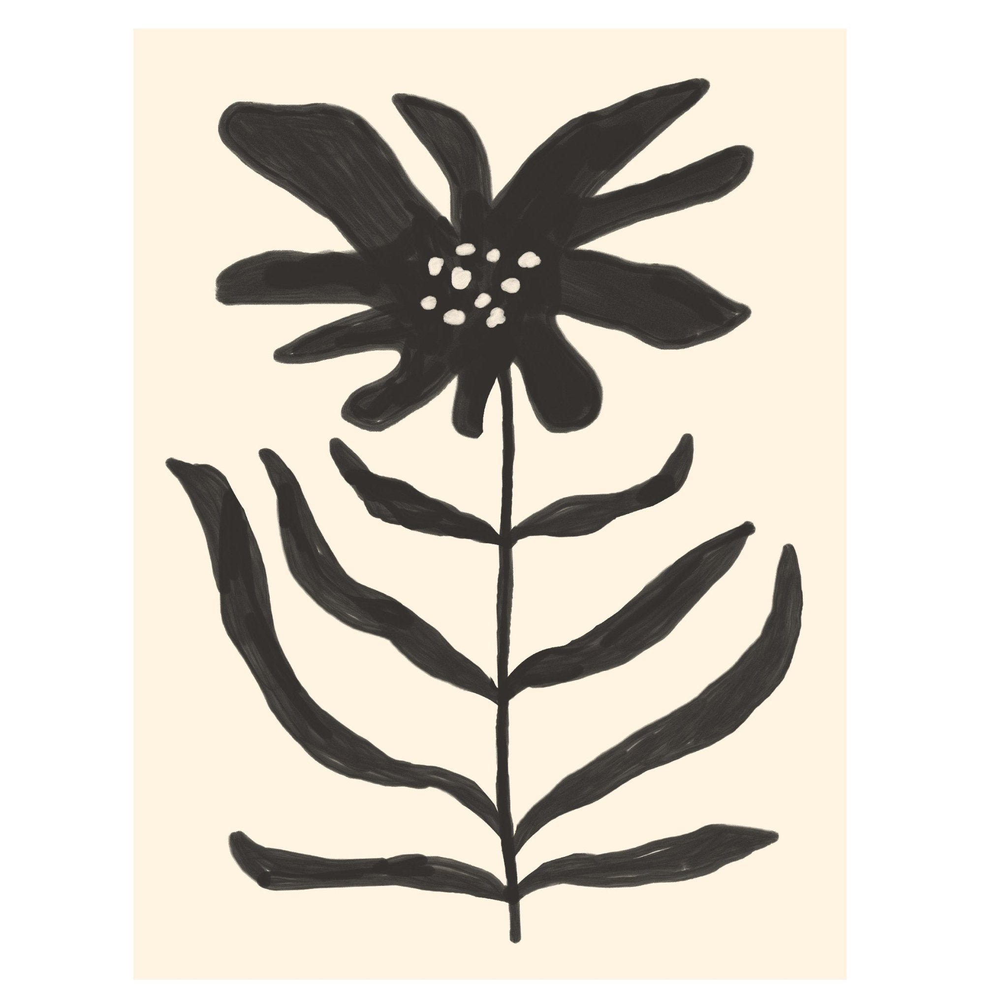 Black Flower Adhesive Poster - Repositionable, Matte Finish, Limited Edition - Pasquín Store