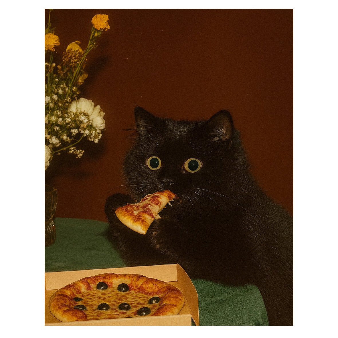 Decorative "Coquette Collection: Pizza Cat" Poster | High - Quality Print | Repositionable Adhesive - Pasquín