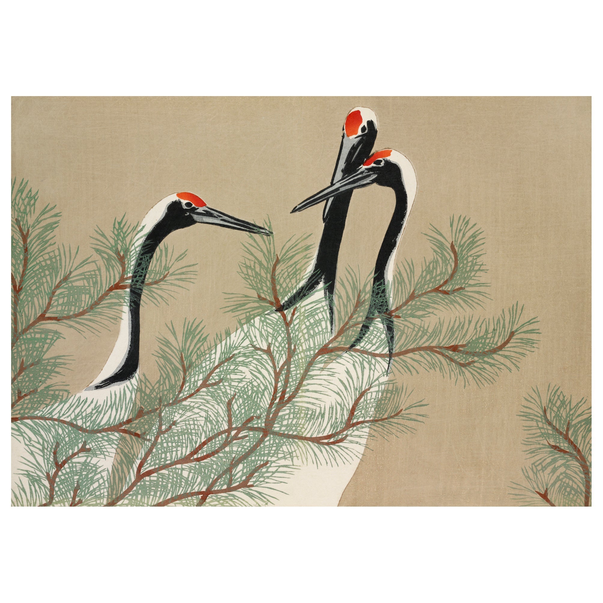 Decorative "Cranes from Momoyogusa" by Kamisaka Sekka Poster | High - Quality Print | Repositionable Adhesive - Pasquín Store