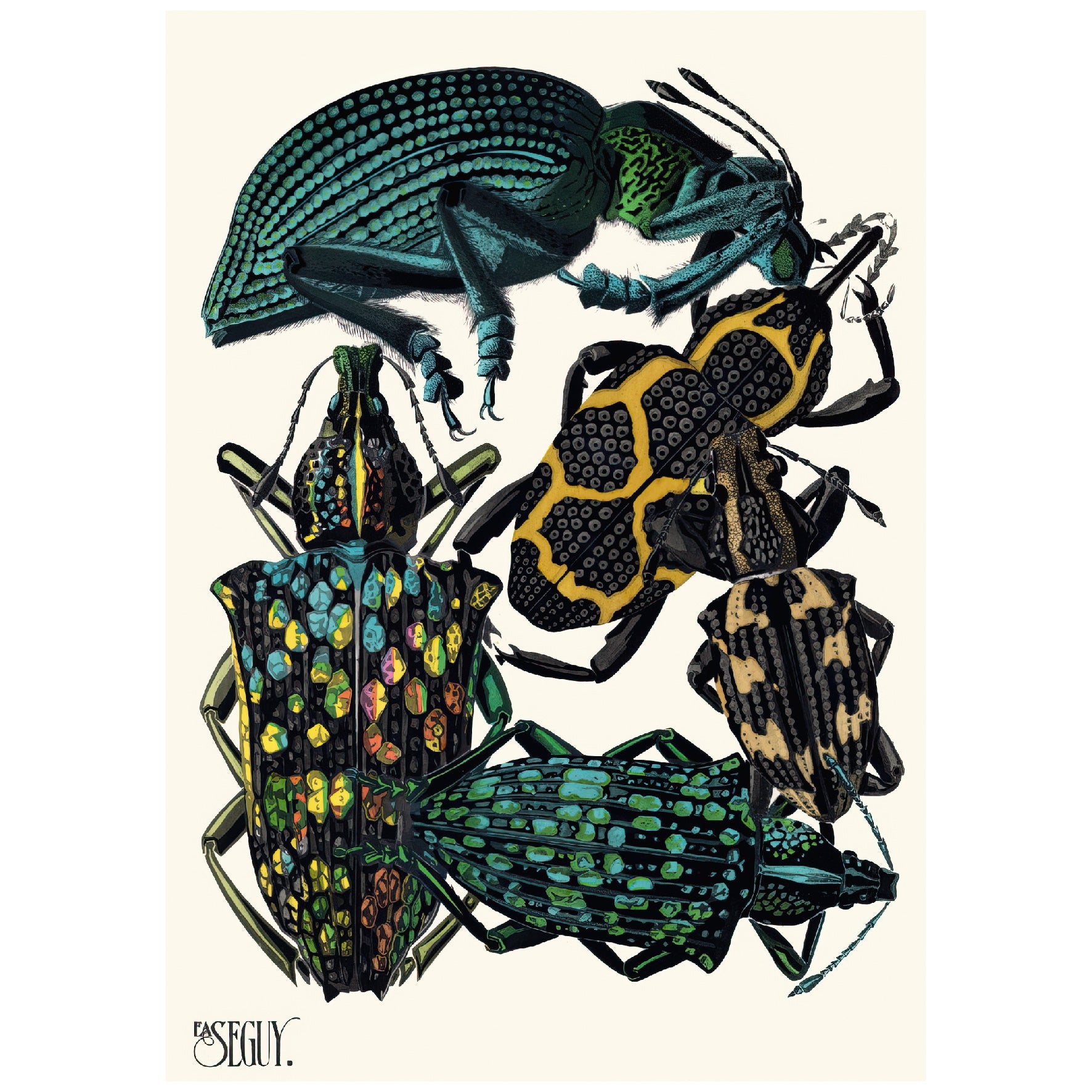 Decorative "Insectes" by Émile - Allain Séguy Poster | High - Quality Print | Repositionable Adhesive - Pasquín