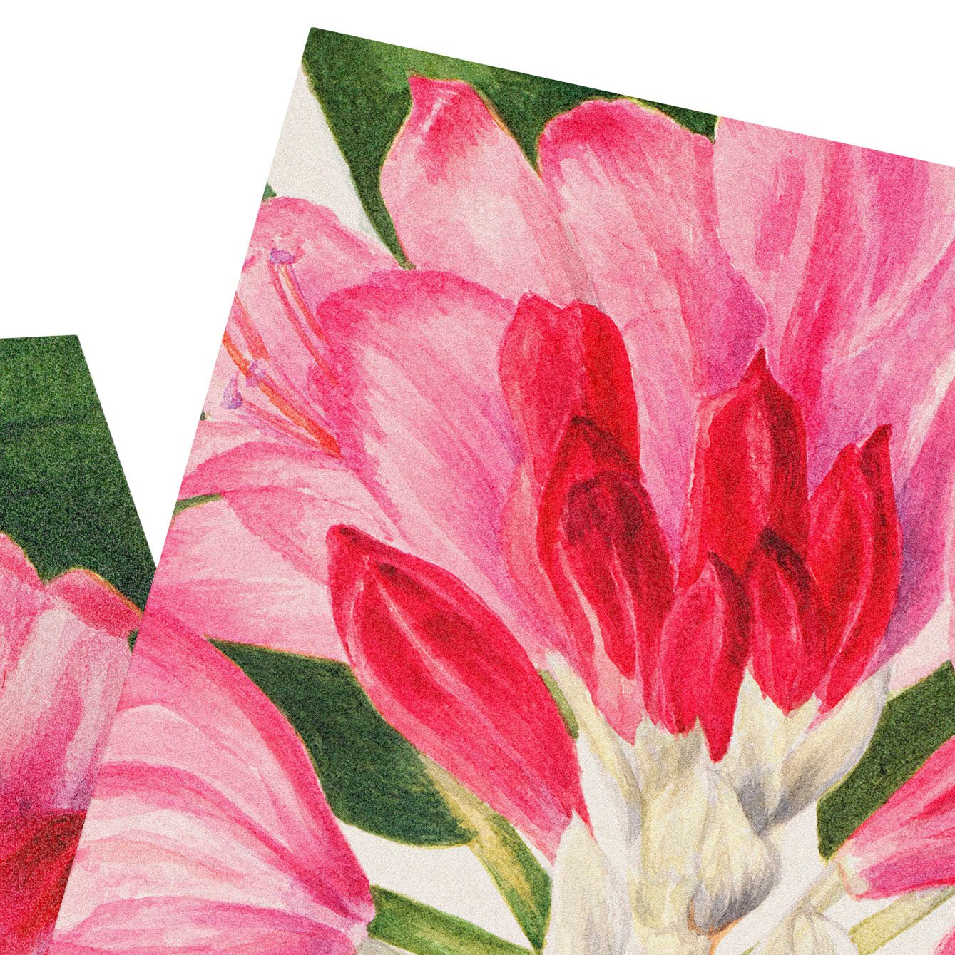 Floral Peel - and - Stick Tiles | Self - Adhesive Pink Floral Design | Limited Edition - Pasquín Store