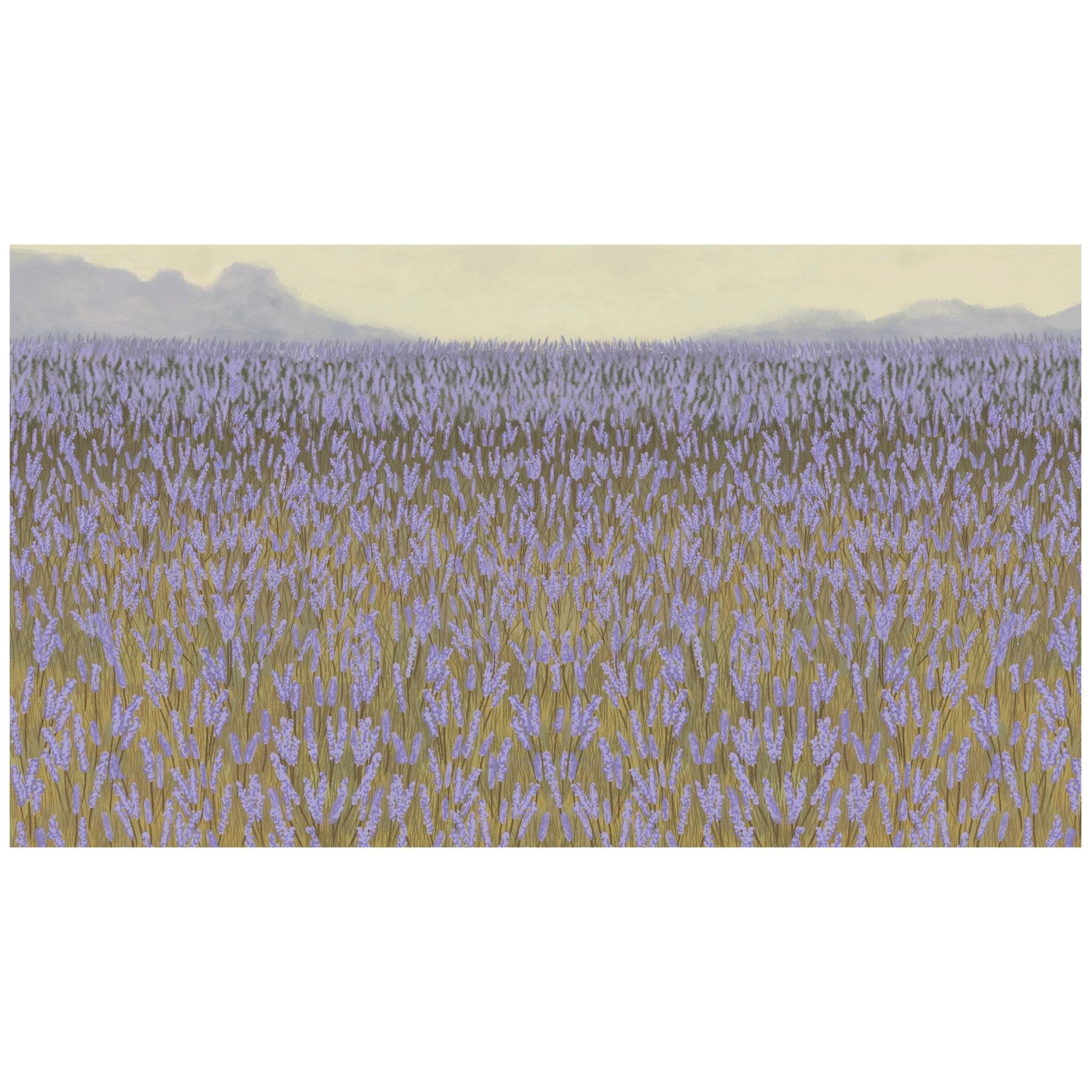 Handmade "Lavender Field" Poster | High - Quality Print | Repositionable Adhesive - Pasquín Store