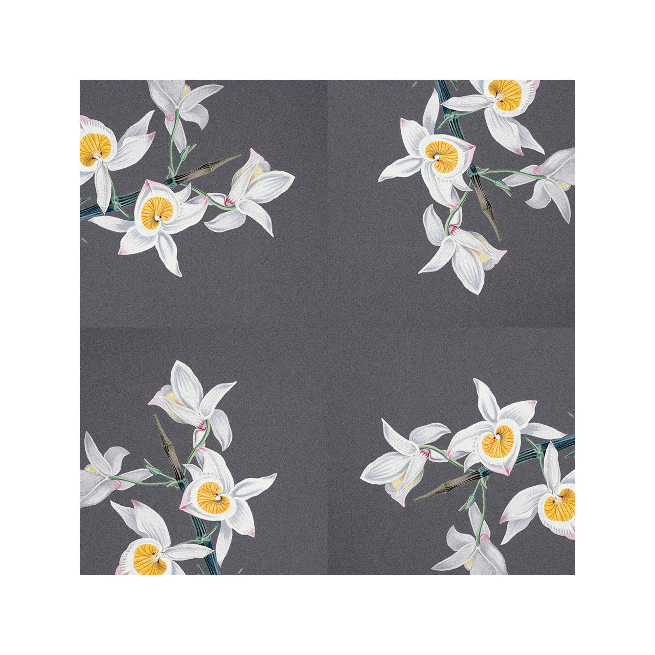 Matte Finish Gray Geometric Floral Peel - and - Stick Tiles | Vinyl Backsplash & Floor Tiles - Pasquín Store