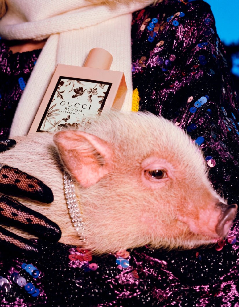 "Piggy Glam" - Reusable Peel-and-Stick Poster - Pasquín