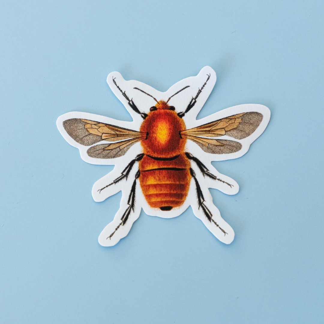 Repositionable Sticker: Vintage Bees | High - Quality Print | Water - Resistant - Pasquín Store