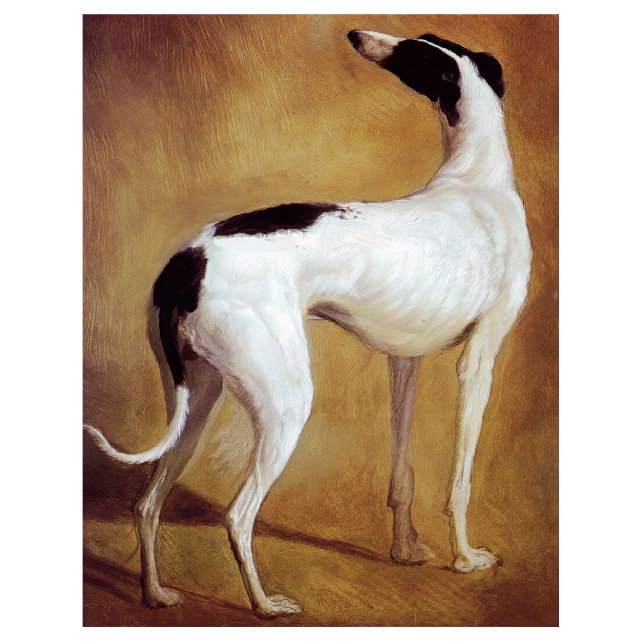 "Study of a Greyhound" by Jacques - Laurent Agasse - Reusable Peel - and - Stick Poster - Pasquín