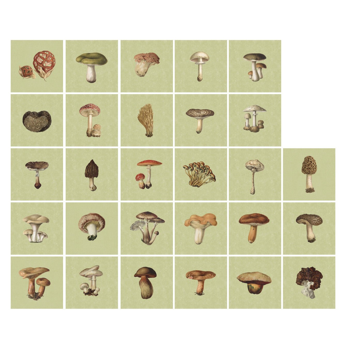 Tile Pasquín 18: Marvelous Mushrooms - Peel - and - Stick Tiles - Pasquín Store