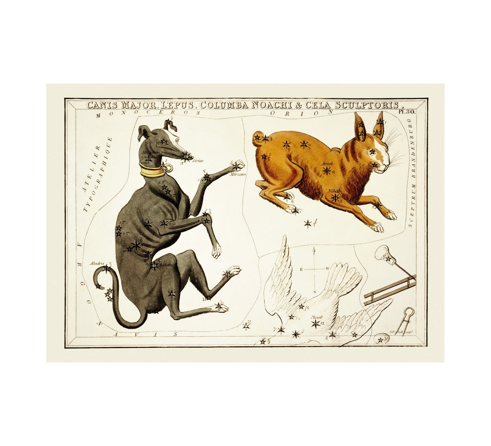 Versatile Canis Major, Lepus, and Columba Noachi 1825 Illustration Adhesive Poster - Perfect for Home Decor - Pasquín Store