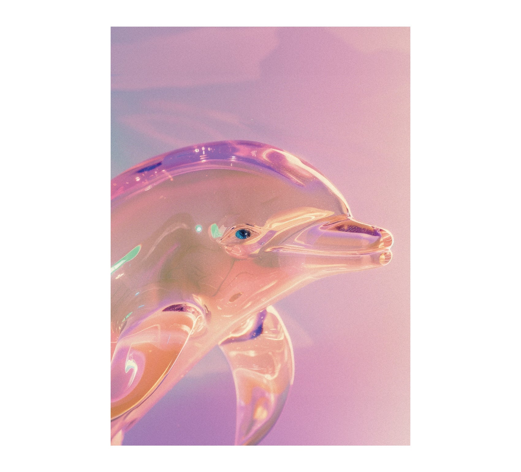 Versatile Pink Dolphin Illustration Adhesive Poster - Perfect for Home Decor - Pasquín Store